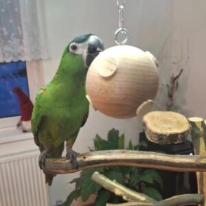 Screenshot_20251030_161717_Facebook