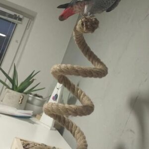 Screenshot_20251027_225229_Facebook