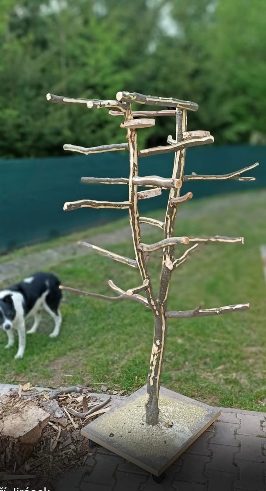 Stromy pro papoušky - Obrázek 11