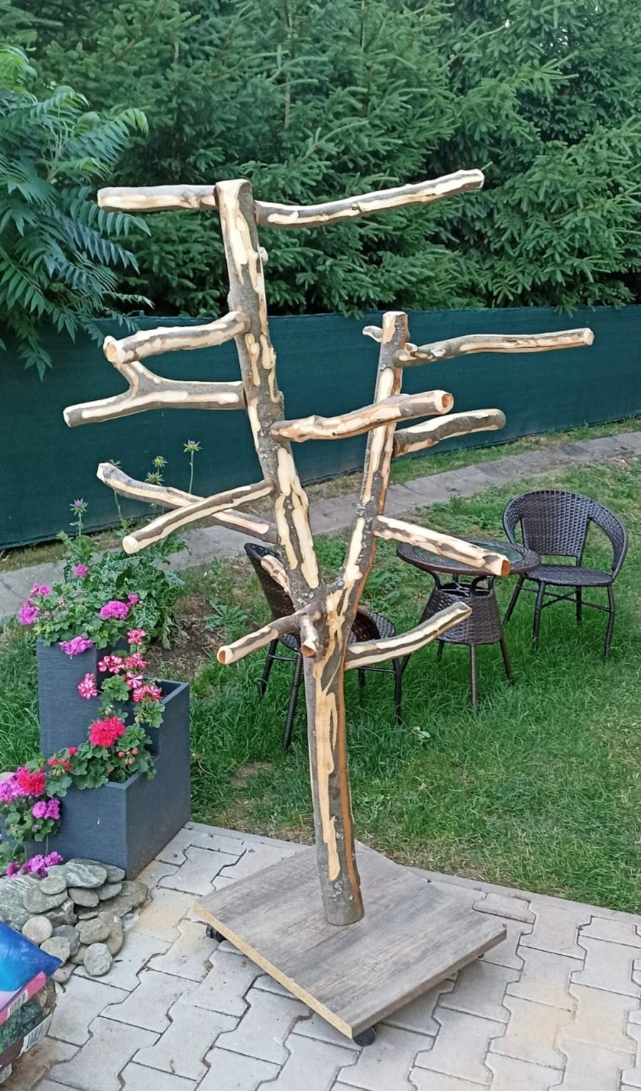 Stromy pro papoušky - Obrázek 9