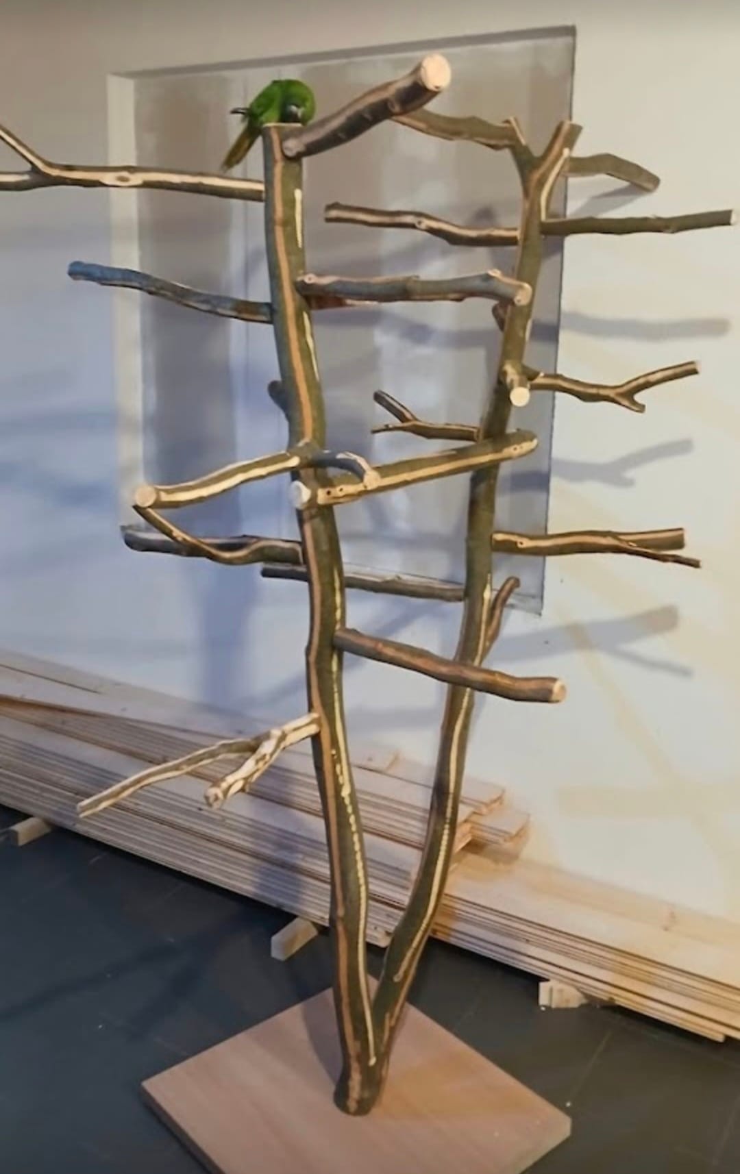 Stromy pro papoušky - Obrázek 7