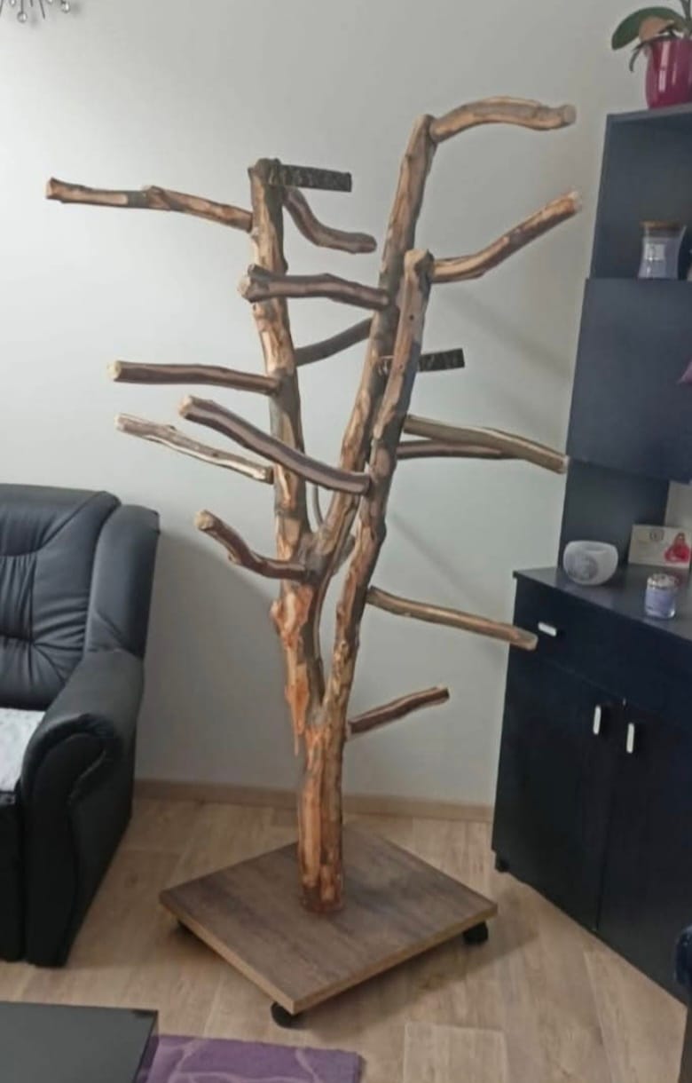 Stromy pro papoušky - Obrázek 8