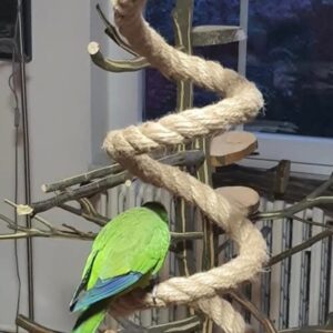 Screenshot_20251030_152716_Facebook