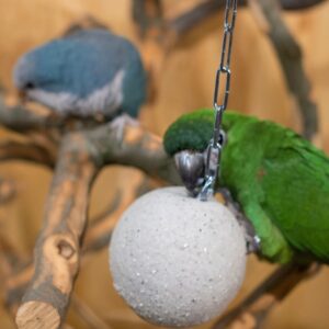 Screenshot_20251030_171711_ChatGPT