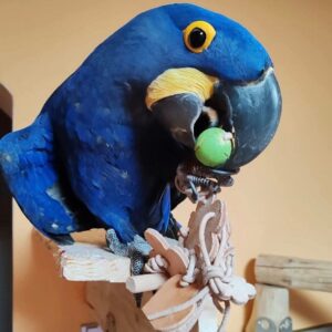 Screenshot_20251030_204301_Facebook