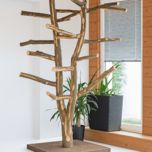 Stromy pro papoušky