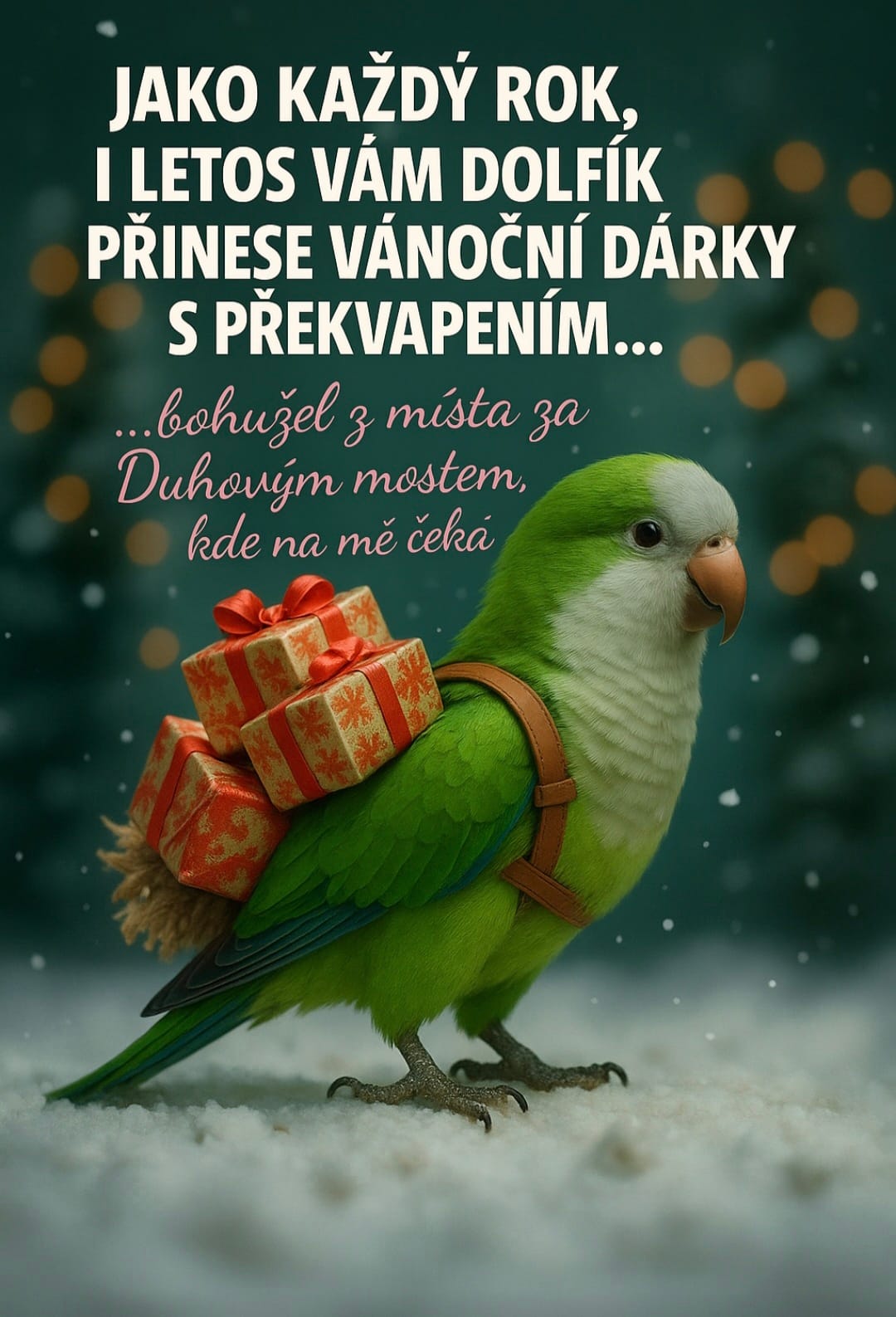 Dolfíčkův vánoční dárek s překvapením