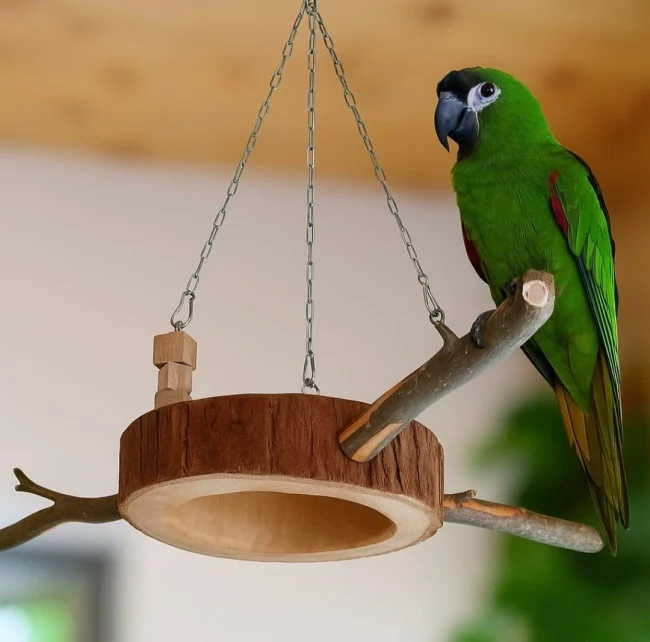 Závěsný vodorovný kruh z masivu s bidýlky
