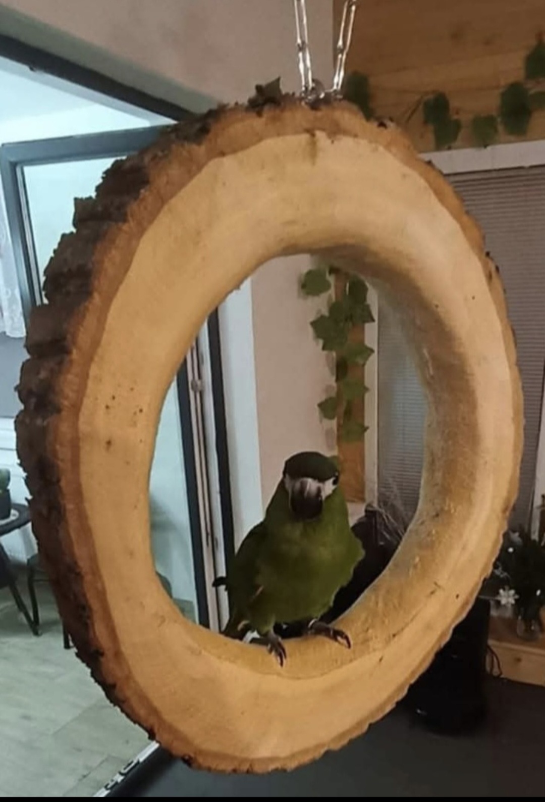 Kruhová houpačka z masivu - Obrázek 4