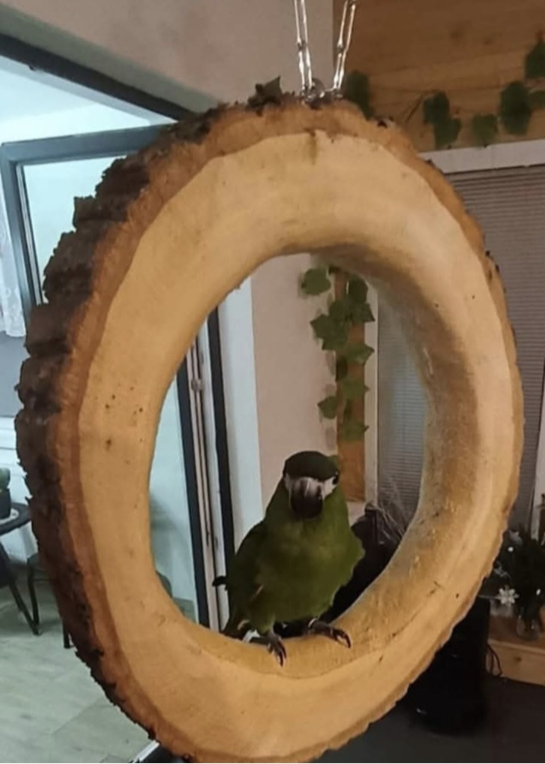 Kruhová houpačka z masivu - Obrázek 5