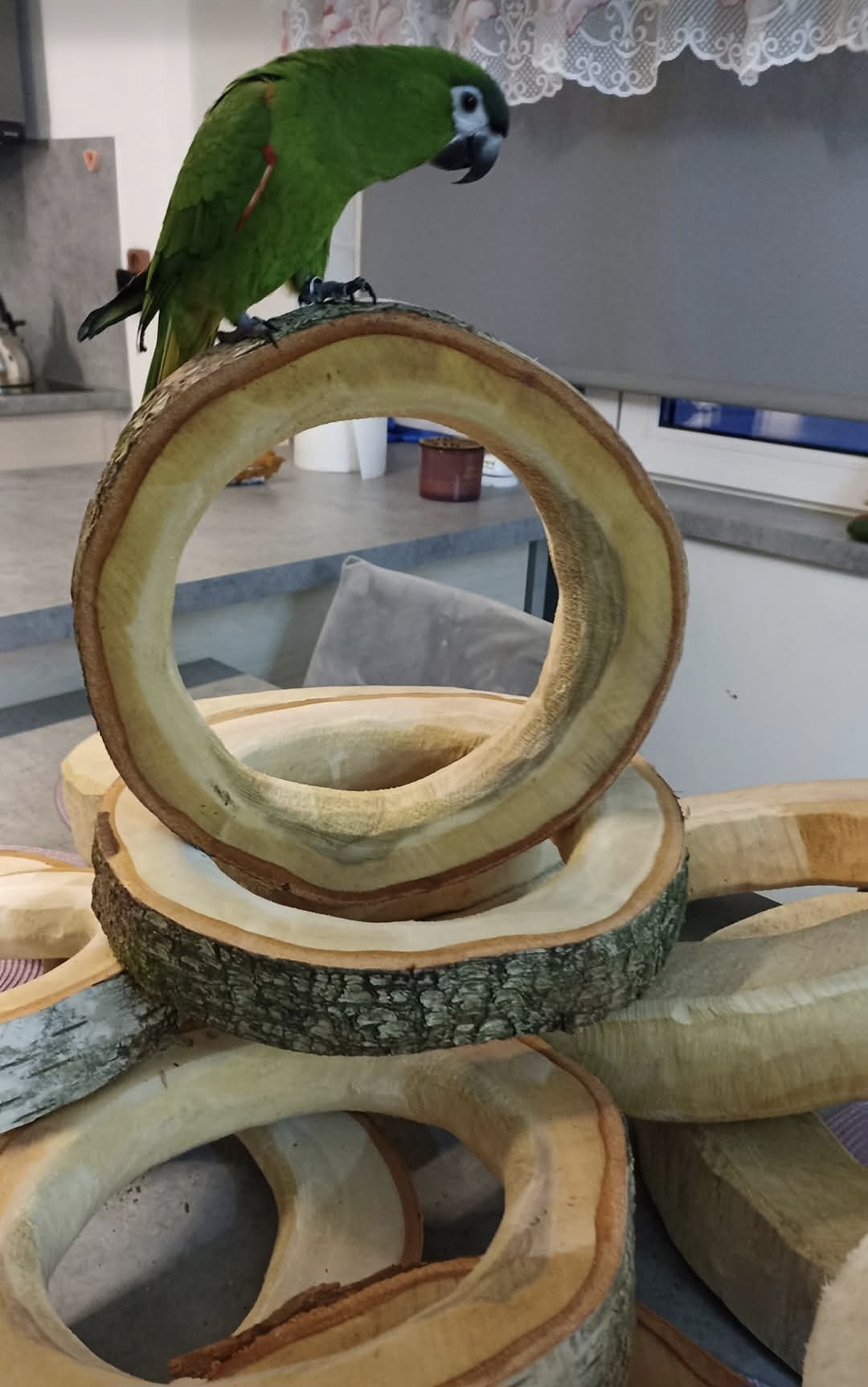 Kruhová houpačka z masivu - Obrázek 6