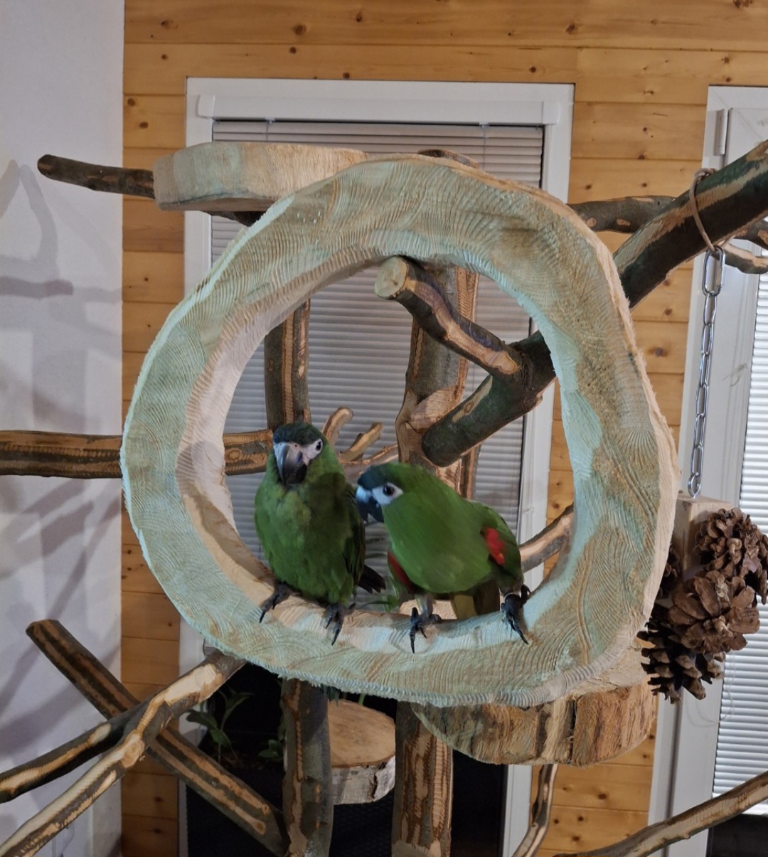 Kruhová houpačka z masivu - Obrázek 9