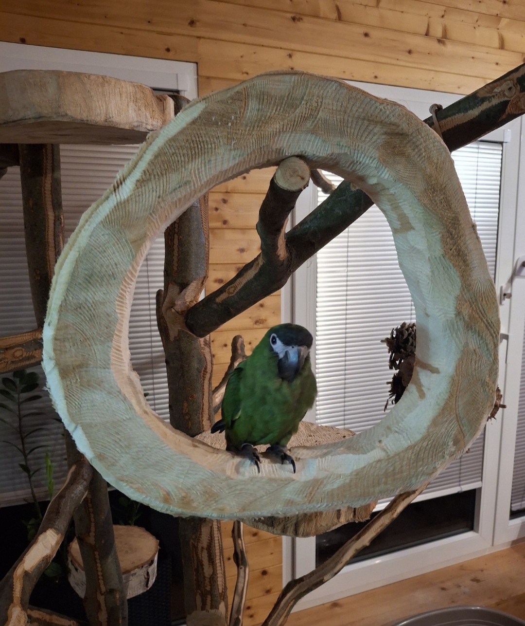 Kruhová houpačka z masivu - Obrázek 8