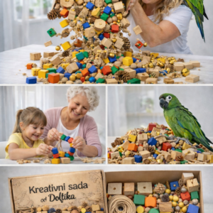 Kreativní sada pro výrobu hraček