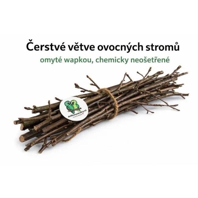 Čerstvé větve z ovocných stromů (momentálně nedostupné) - Obrázek 2