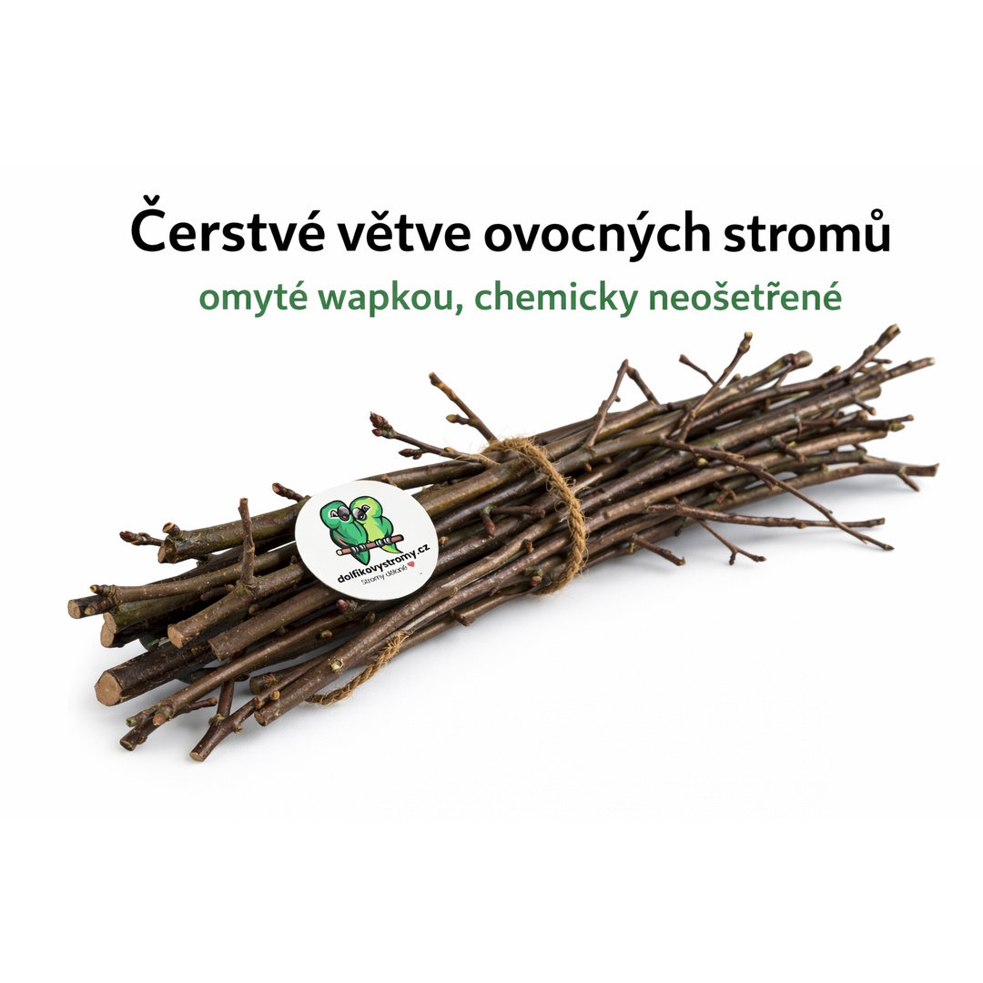 Čerstvé větve z ovocných stromů