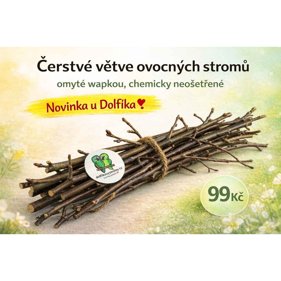Čerstvé větve z ovocných stromů - Obrázek 5
