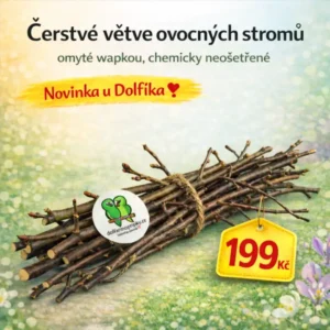 Čerstvé větve z ovocných stromů