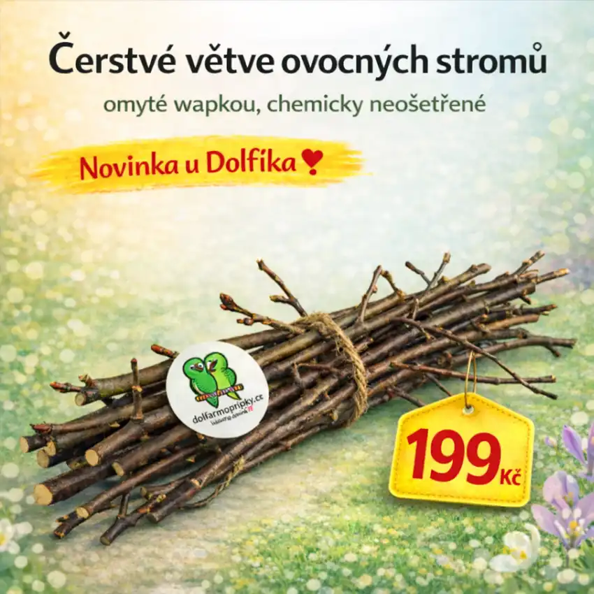 Čerstvé větve z ovocných stromů (momentálně nedostupné)