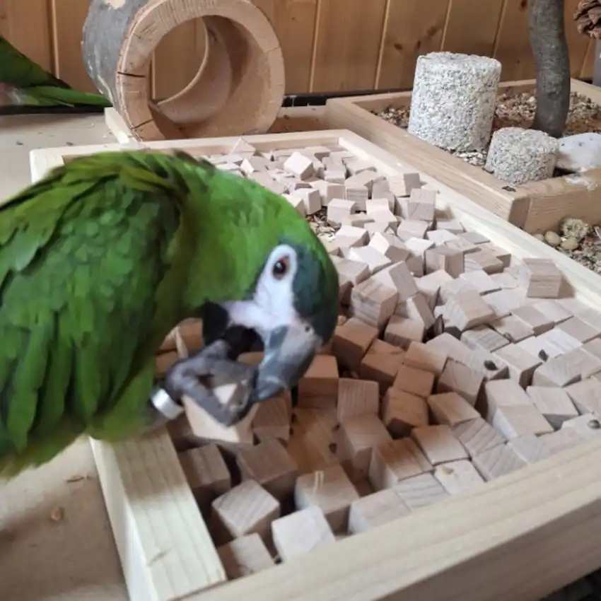Dolfíkův hrabací box -foraging box - Obrázek 2