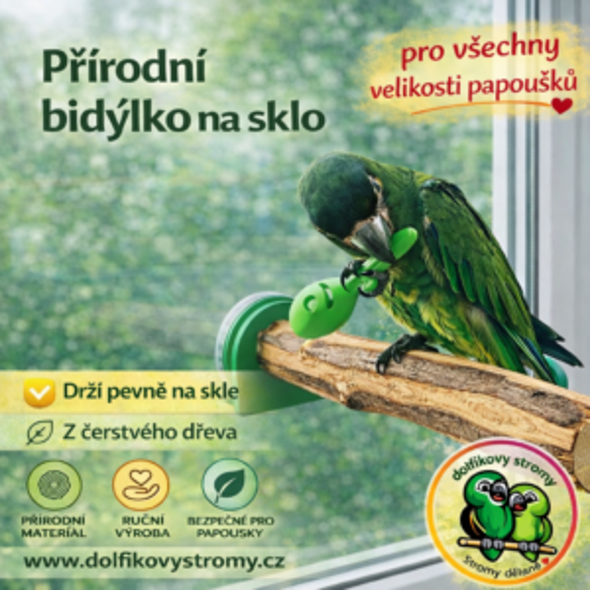 Přírodní bidýlko na sklo