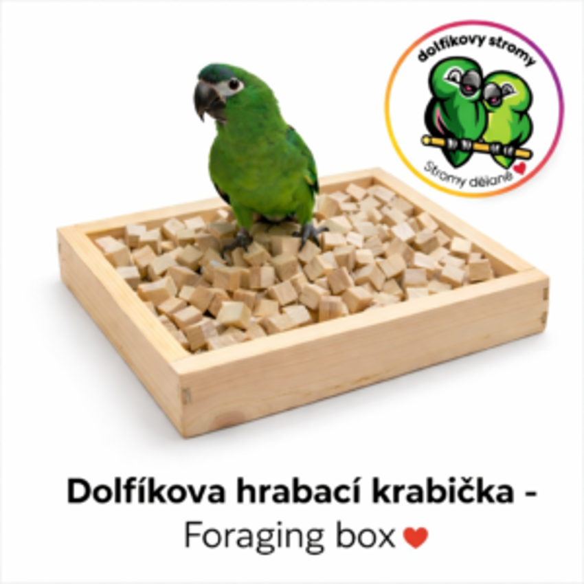 Dolfíkův hrabací box -foraging box