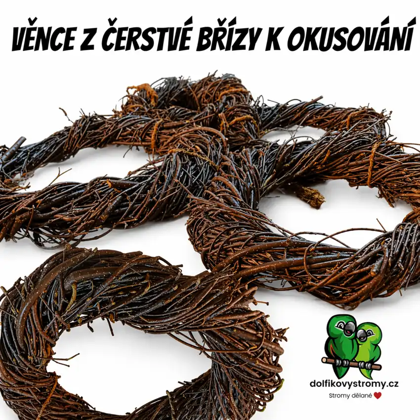 Březový věnec k okusování - Obrázek 2